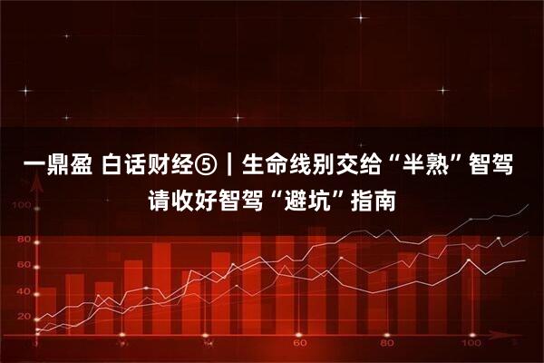 一鼎盈 白话财经⑤｜生命线别交给“半熟”智驾 请收好智驾“避坑”指南