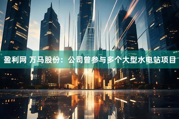 盈利网 万马股份：公司曾参与多个大型水电站项目