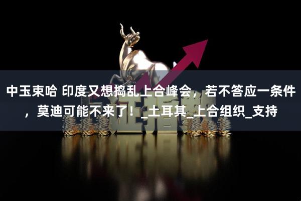 中玉束哈 印度又想捣乱上合峰会，若不答应一条件，莫迪可能不来了！_土耳其_上合组织_支持