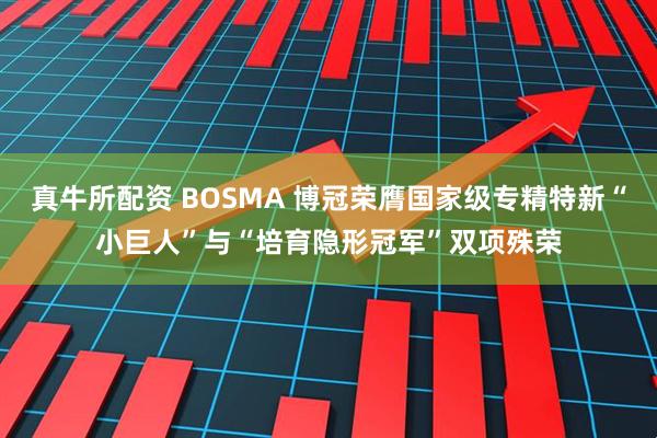 真牛所配资 BOSMA 博冠荣膺国家级专精特新“小巨人”与“培育隐形冠军”双项殊荣