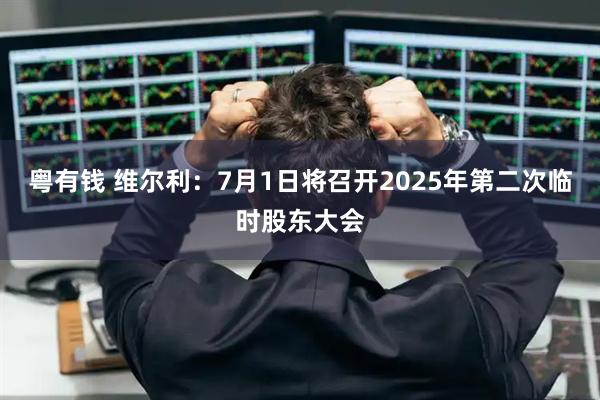 粤有钱 维尔利：7月1日将召开2025年第二次临时股东大会